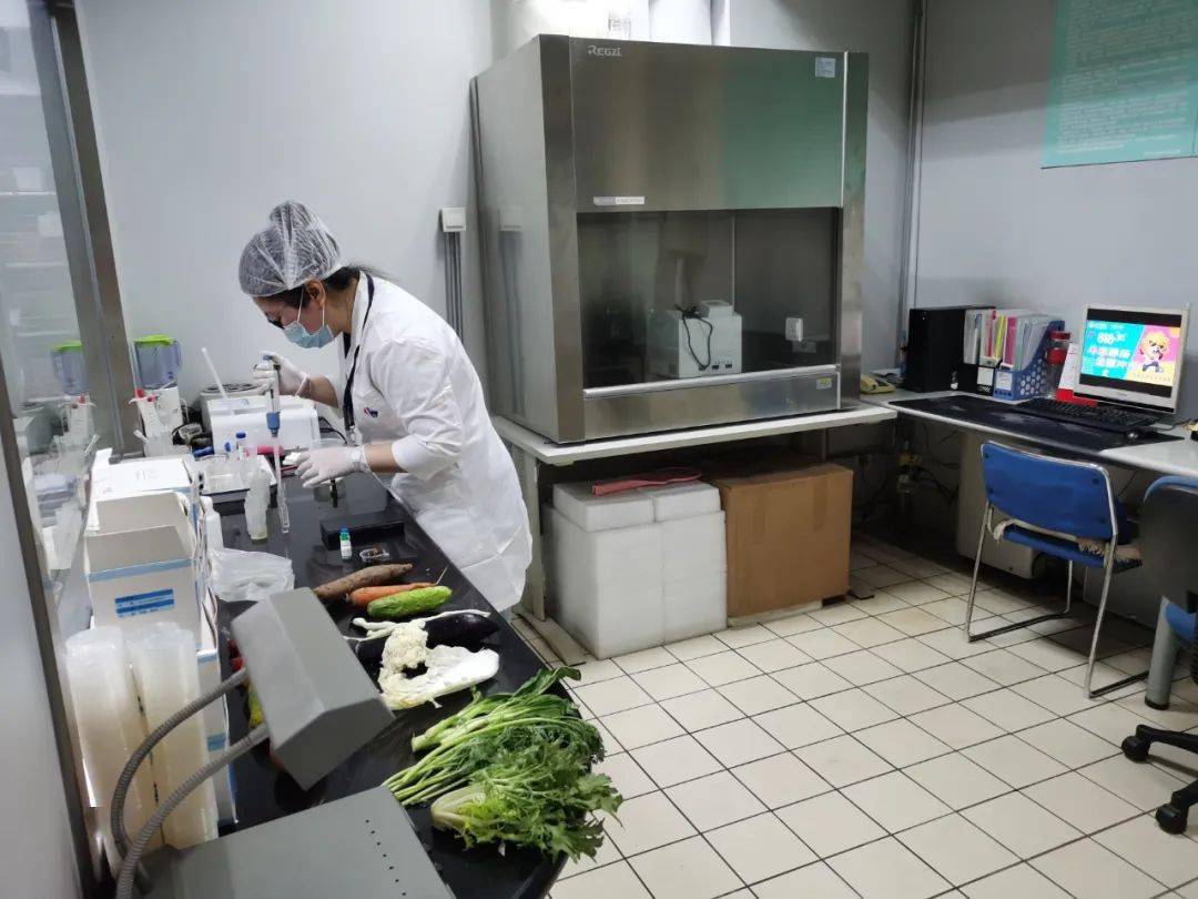 安陆食品检测实验室装修方案